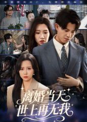 离婚当天世上再无我海报