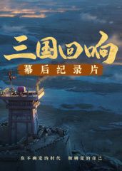 《三国回响》—《三国的星空第一部》幕后纪录片​海报