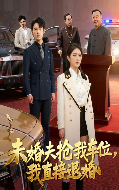 未婚夫抢我车位我直接退婚海报
