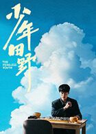 少年田野海报