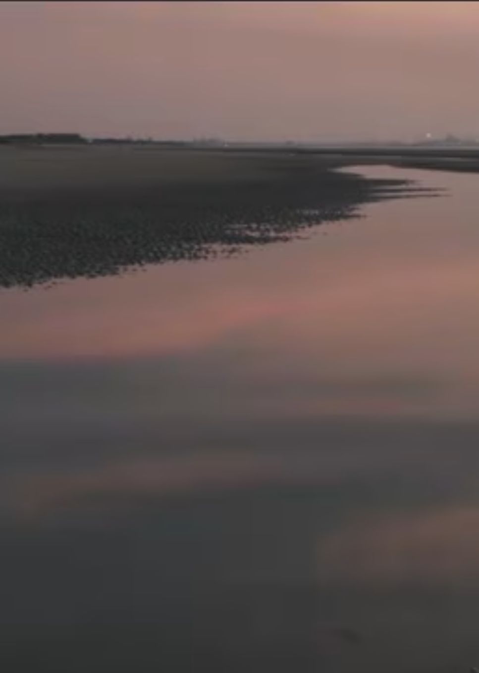 两个爸爸的故事​海报