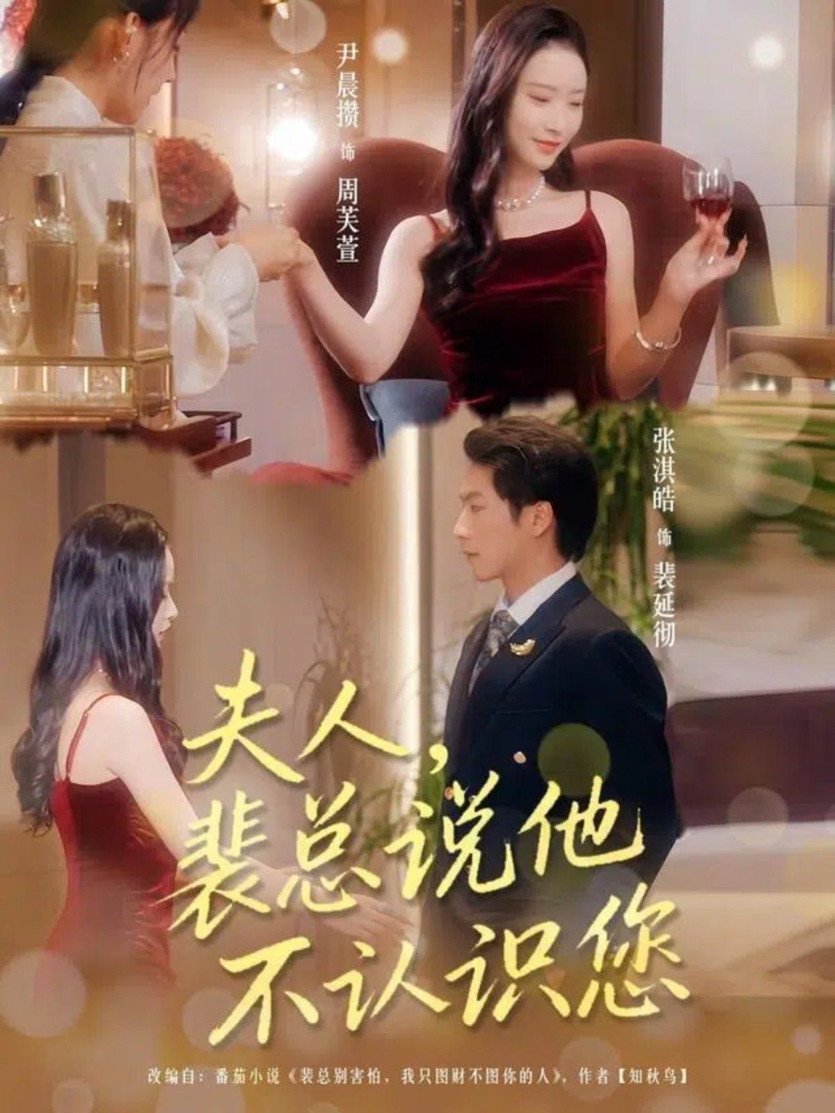 夫人裴总说他不认识您海报