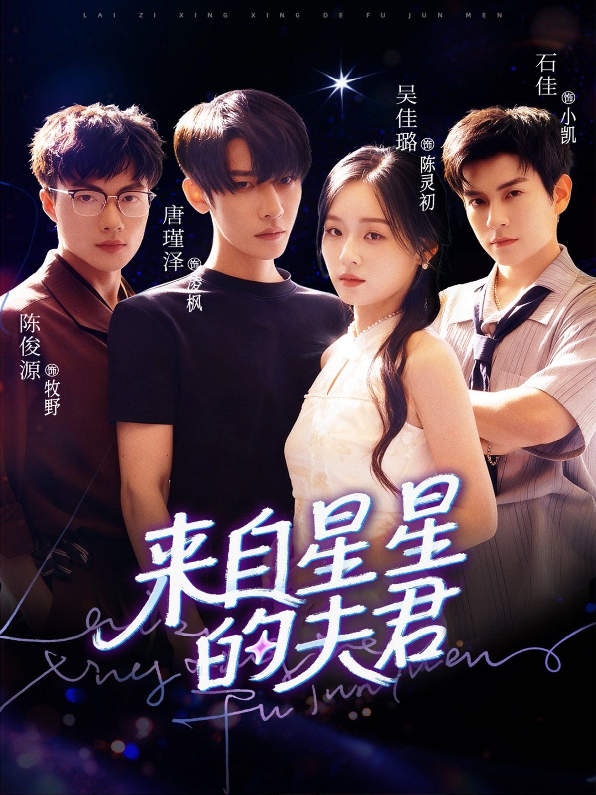 来自星星的夫君海报
