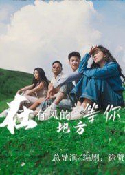 在有风的地方等你海报