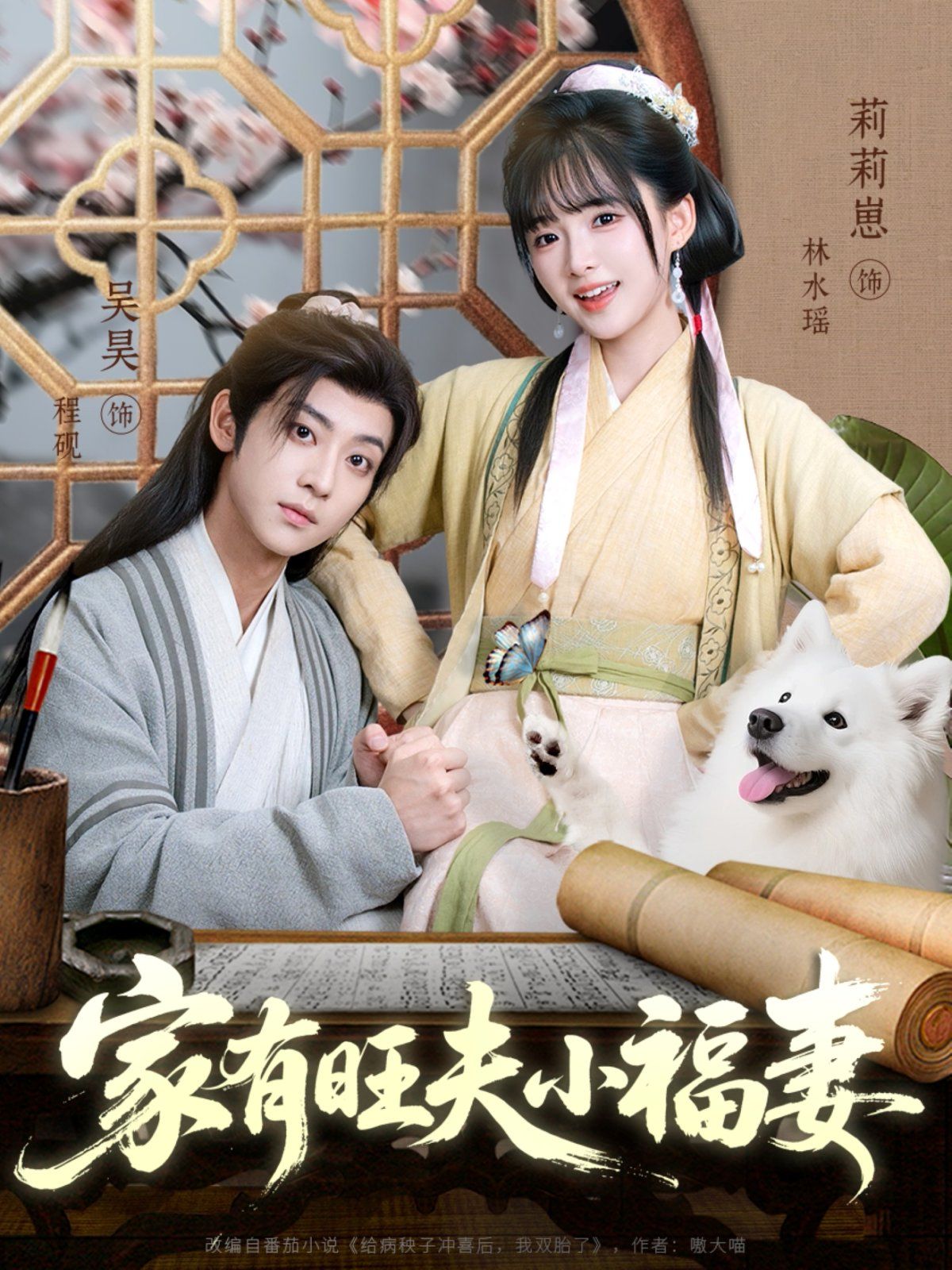 家有旺夫小福妻海报