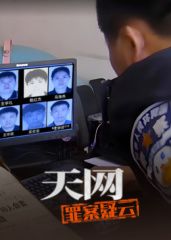 天网：罪案疑云海报