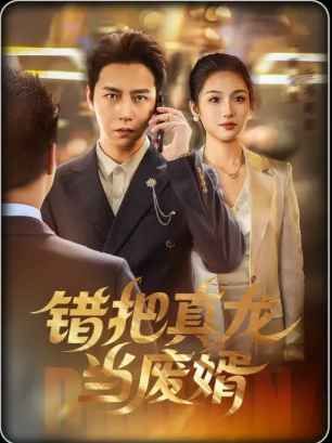 错把真龙当废婿海报