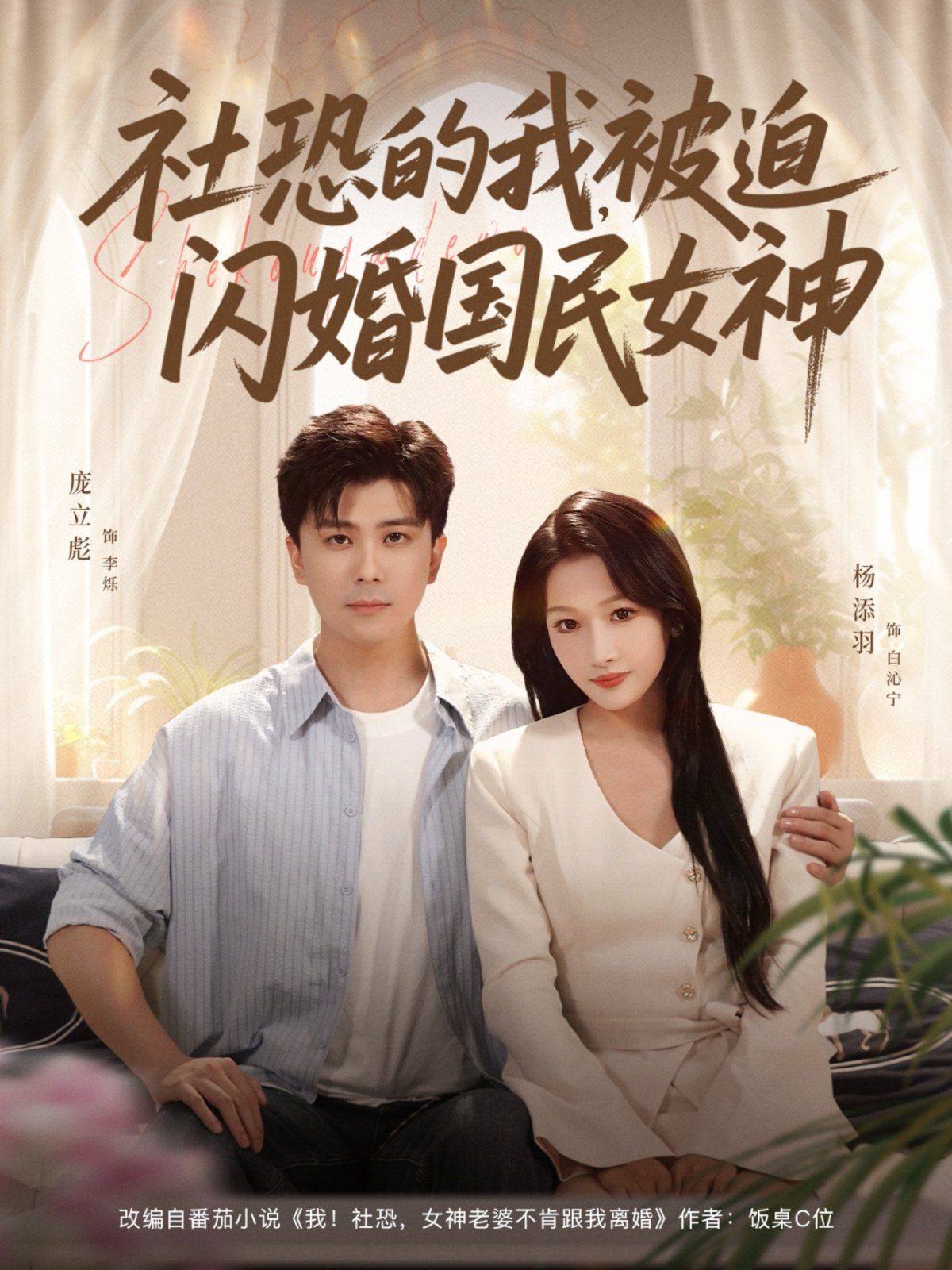 社恐的我被迫闪婚国民女神海报