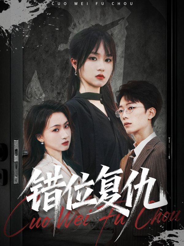 错位复仇海报