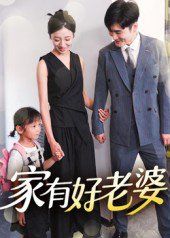 家有好老婆海报