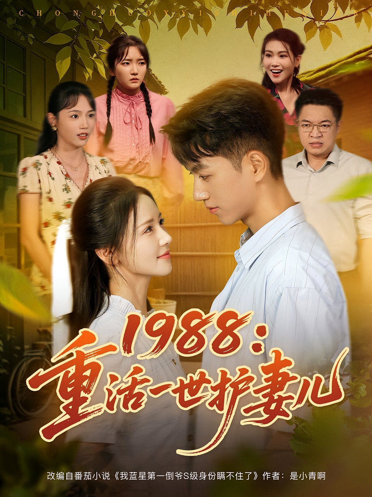 1988重活一世护妻儿海报