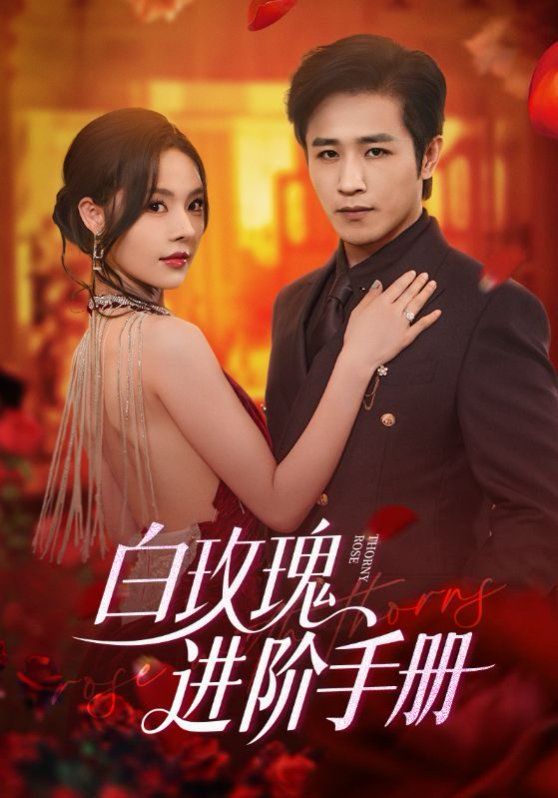 白玫瑰进阶手册海报