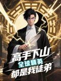 高手下山全球精英都是我徒弟海报