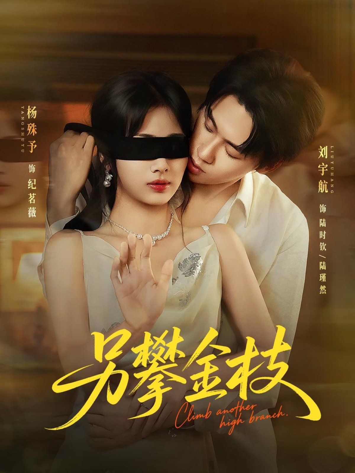 另攀金枝海报