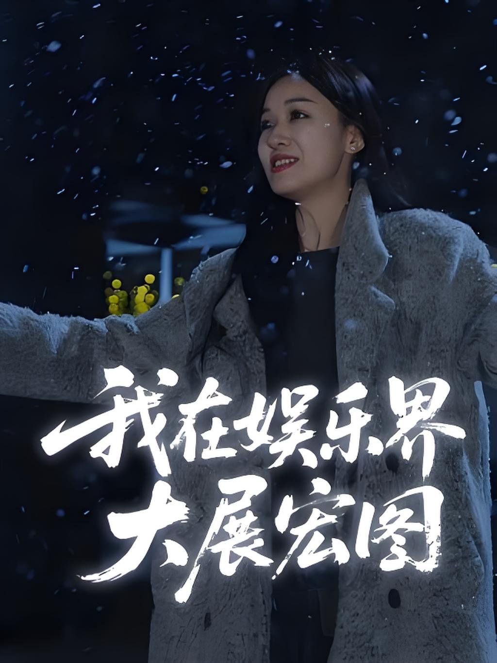 娱界掌舵人（我在娱乐界大展宏图）海报