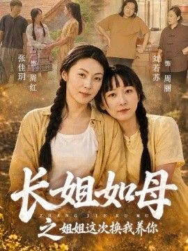 长姐如母之姐姐这次换我养你海报