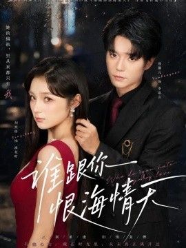 谁跟你恨海情天海报