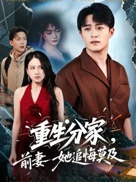 重生分家，前妻她追悔莫及海报