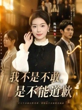 我不是不敢，是不能道歉海报