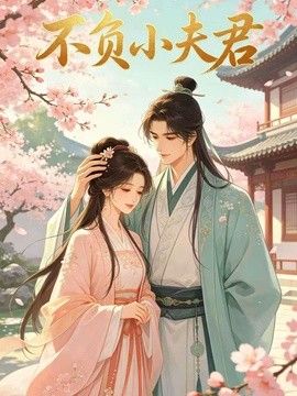 不负小夫君海报