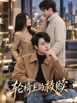 轮椅上的救赎海报