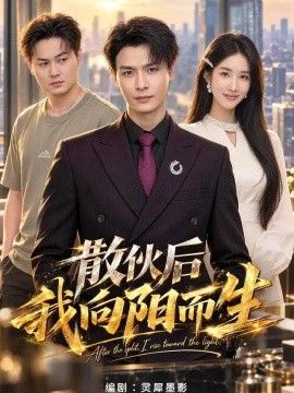 散伙后我向阳而生海报