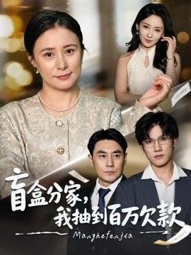 盲盒分家，我抽到百万欠款海报