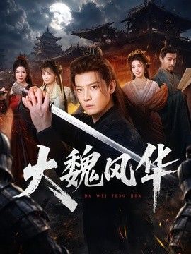 大魏风华海报