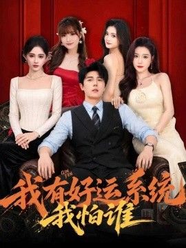 我有好运系统我怕谁海报
