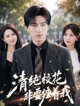 清纯校花非要缠着我海报