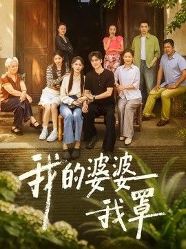 我的婆婆我罩海报