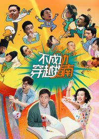 不成功穿越指南海报