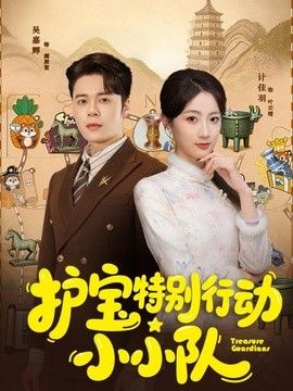 护宝特别行动小小队海报