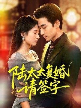 陆太太复婚请签字海报