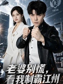 老婆别慌，看我制霸江州海报