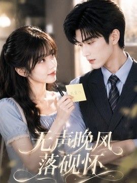 无声晚风落砚怀海报