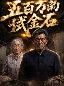 五百万的试金石海报