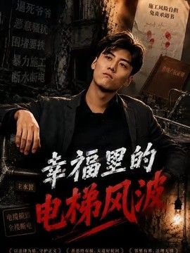 幸福里的电梯风波海报