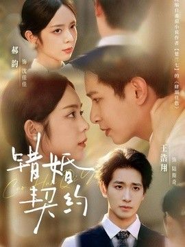 错婚契约海报