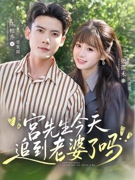 宫先生今天追到老婆了吗海报