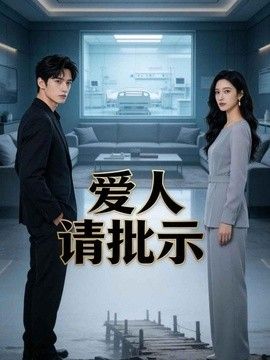 爱人请批示海报