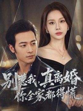 别惹我，真离婚你全家都得慌海报