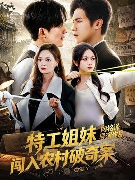 特工姐妹闯入农村破奇案海报