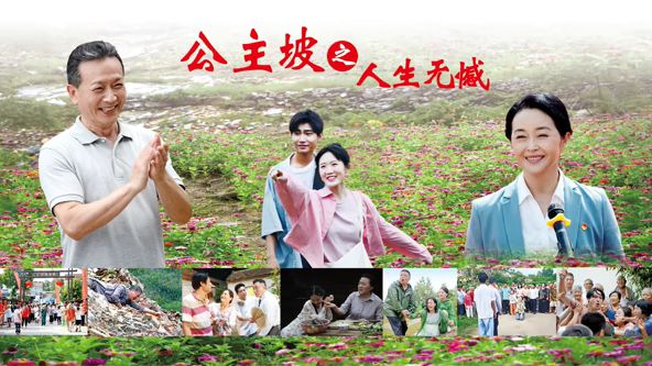 公主坡之人生无憾海报
