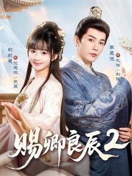赐卿良辰第二季海报