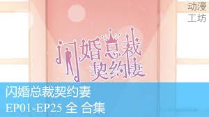 闪婚总裁契约妻海报