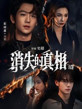 消失的真相·沉罪海报