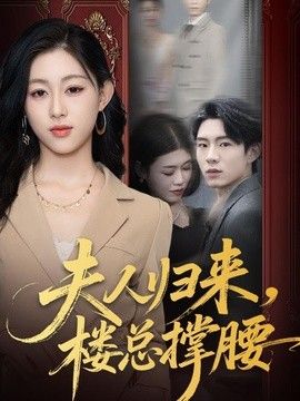 夫人归来，楼总撑腰海报
