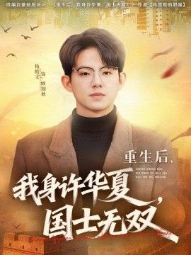 重生后，我身许华夏，国士无双海报