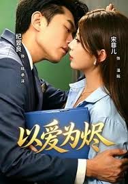 以爱为烬海报